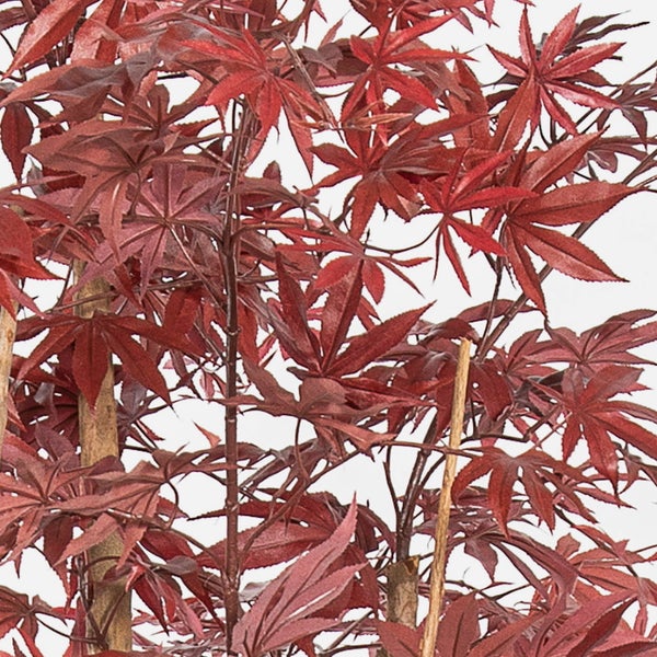Künstliche Pfingstrose in Pink mit einer großen Blüte und einer Knospe an einem langen Stiel mit grünen Blättern.