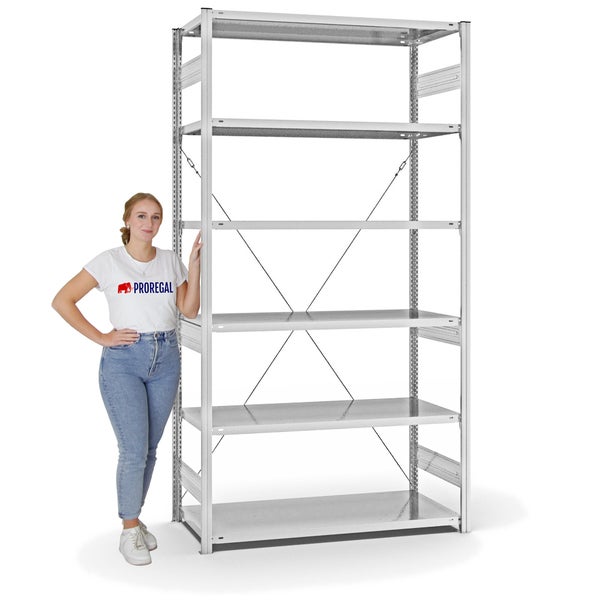 PROREGAL Fachbodenregal Stecksystem T-Profil Heavy-Duty Grundregal HxBxT 250 x 130 x 60 cm 6 Ebenen Fachlast 330 kg Einseitig Nutzbar Lichtgrau