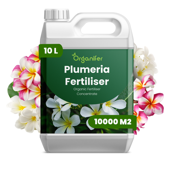 Organifer Plumeria Dünger, 10 Liter organisches Düngerkonzentrat für circa 10000 Quadratmeter, Kunststoffkanister.