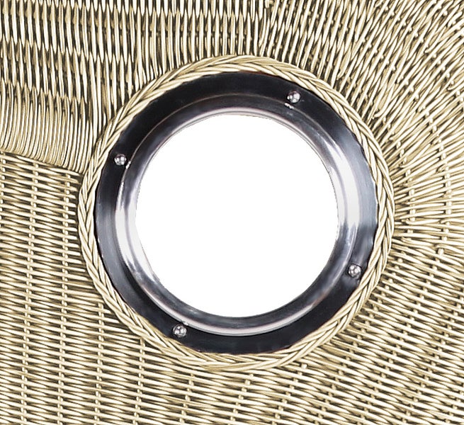 Dekorative Zimmerpflanze in einem Topf