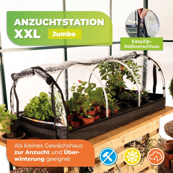 Anzuchtstation Extra Extra Large Jumbo mit transparenter Folie, Reißverschluss, Ultraviolett-Schutz und Montage ohne Werkzeug auf Holzregal.