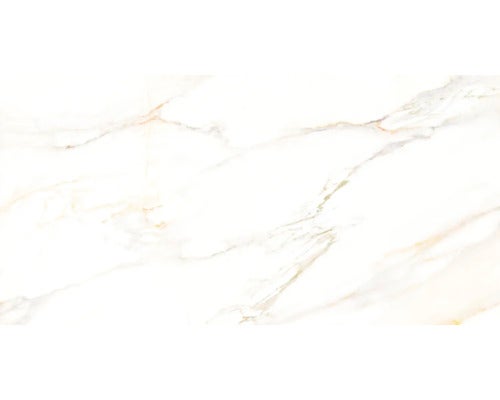 Wand- und Bodenfliese Cava lusso 60x120 cm
