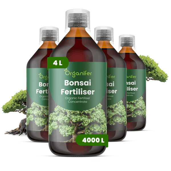 Organifer Bonsai-Dünger, 4 Flaschen organisches Düngerkonzentrat, 4 Liter ergeben 4000 Liter Düngerlösung.