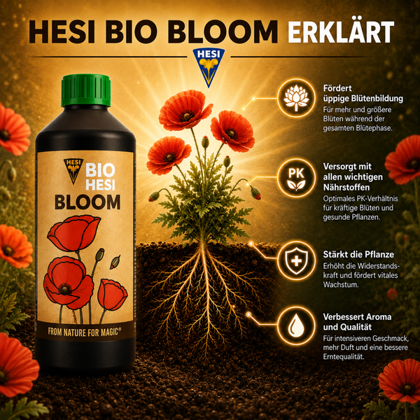 Hesi Bio Bloom Pflanzenduenger in einer Flasche mit Grafiken zur Wirkung auf Bluetenbildung, Naehrstoffversorgung und Pflanzengesundheit.