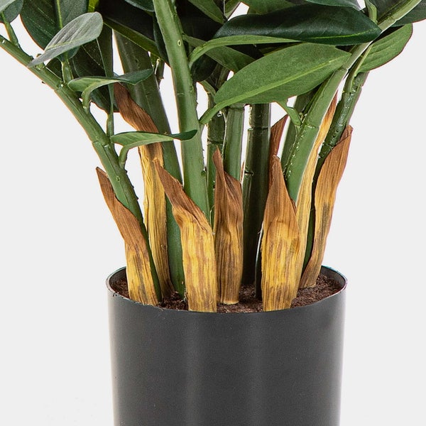 Künstliche Glücksfeder Zamioculcas im dunklen Topf, Detailansicht der grünen Stiele.