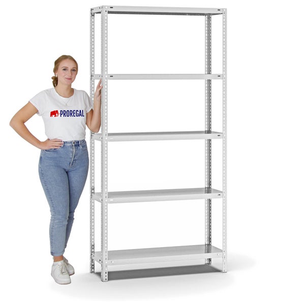 PROREGAL Fachbodenregal Schraubsystem Light-Duty Grundregal HxBxT 200 x 100 x 30 cm 5 Ebenen Fachlast 125 kg Beidseitig Nutzbar Lichtgrau