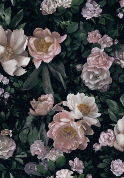 Borastapeter Tapete Blumen Rosa - 53 cm x 10.05 m - 660439