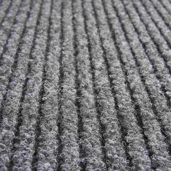 Nahaufnahme eines grauen Rippenfußabstreifers