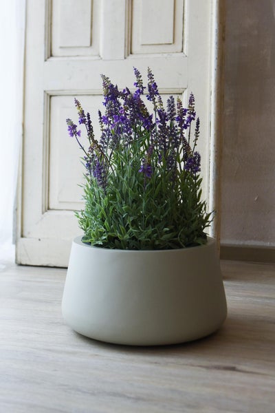 Künstlicher Lavendel in einem hellen runden Pflanzkübel auf einem Holzboden vor einer weißen Holztür.