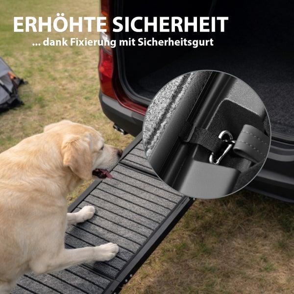 Hundrampe für das Auto mit einem Sicherheitsgurt zur Fixierung für erhöhte Stabilität und Sicherheit beim Einsteigen.