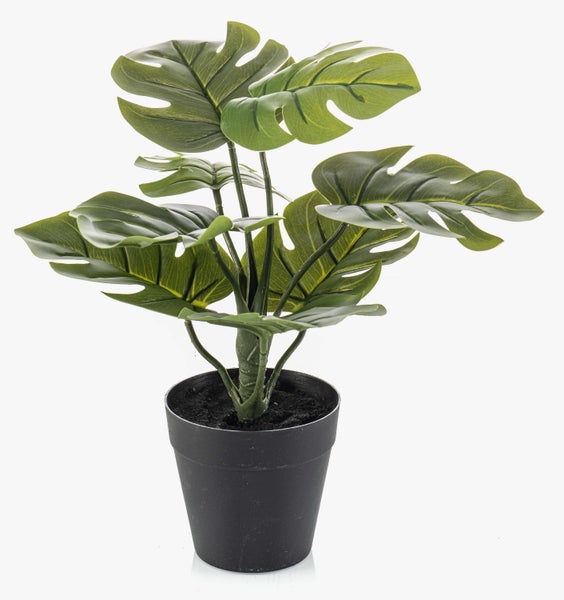 Künstliche Monstera-Pflanze mit typisch gelochten Blättern in einem schwarzen Kunststofftopf.