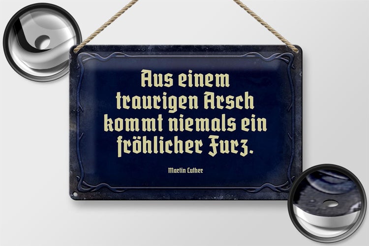 Blechschild Spruch 30x20cm aus einem traurigen Arsch kommt