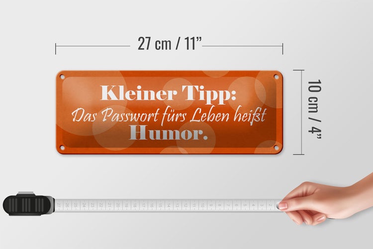 Blechschild Spruch 27x10cm Passwort für's Leben Humor Dekoration