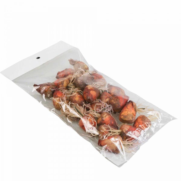 Verpackung mit Blumenzwiebeln