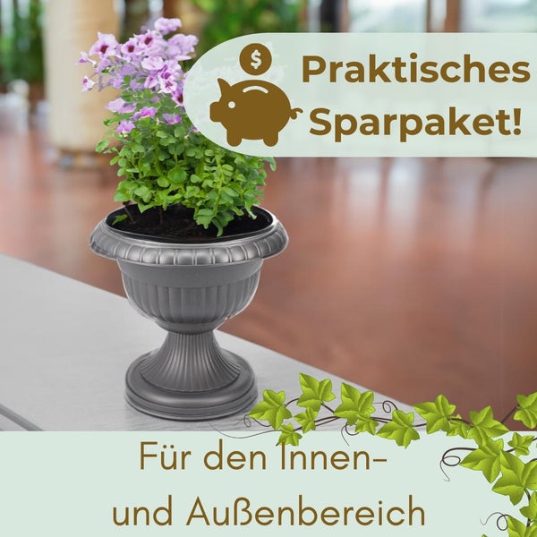 Dekorative Pflanze in Urnenvase für den Innen- und Aussenbereich als Sparpaket