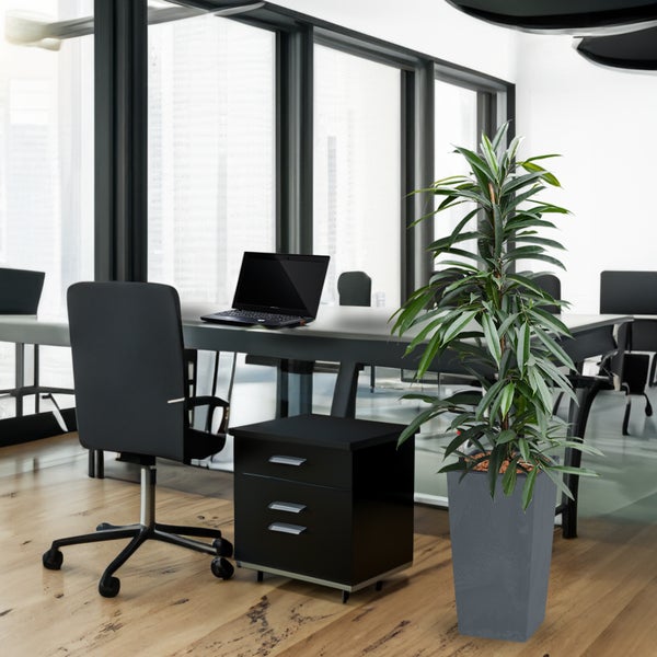 Büro mit Schreibtisch, Bürostuhl, Rollcontainer und Zimmerpflanze in grauem Topf