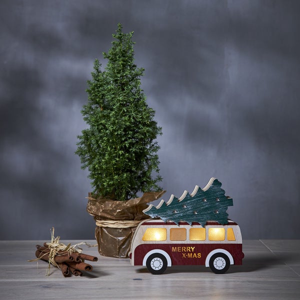 Dekorative Szene mit Topfbaum, Zimtstangen und leuchtendem Holzbus mit Weihnachtsbaum auf dem Dach