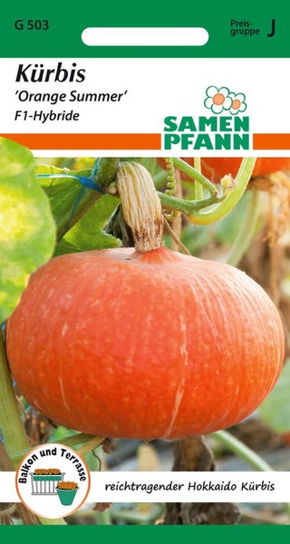 Samenpackung Hokkaido Kürbis Orange Summer F1-Hybride