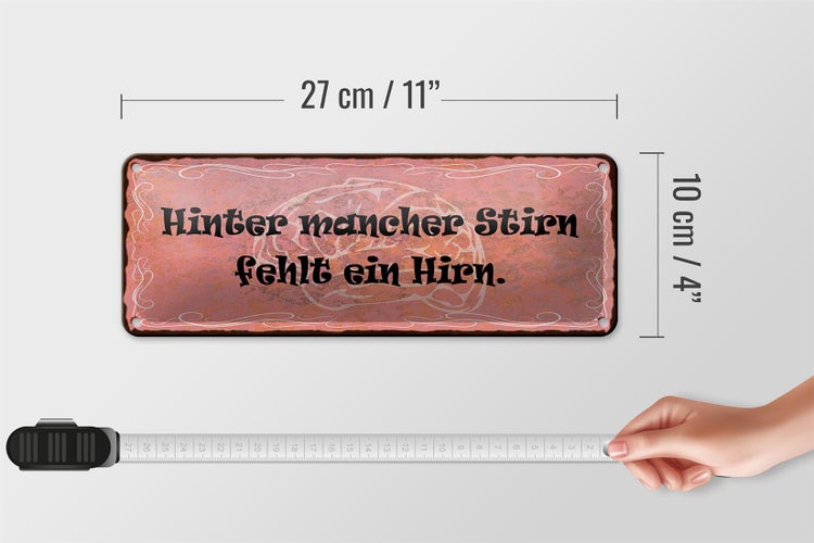 Blechschild Spruch 27x10cm hinter mancher Stirn fehlt Hirn Dekoration