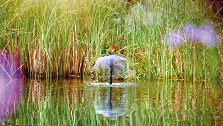 Glockenfontäne Wasserspiel in einem bepflanzten Gartenteich mit Schilf im Hintergrund.