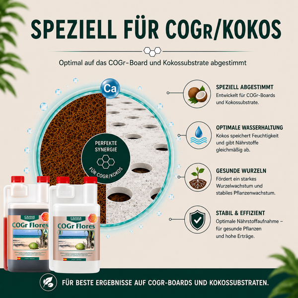 Infografik zum Canna COGr Flores Dünger für Kokossubstrate mit Produktabbildung der Flaschen A und B sowie Erläuterung der Vorteile und Wirkung.
