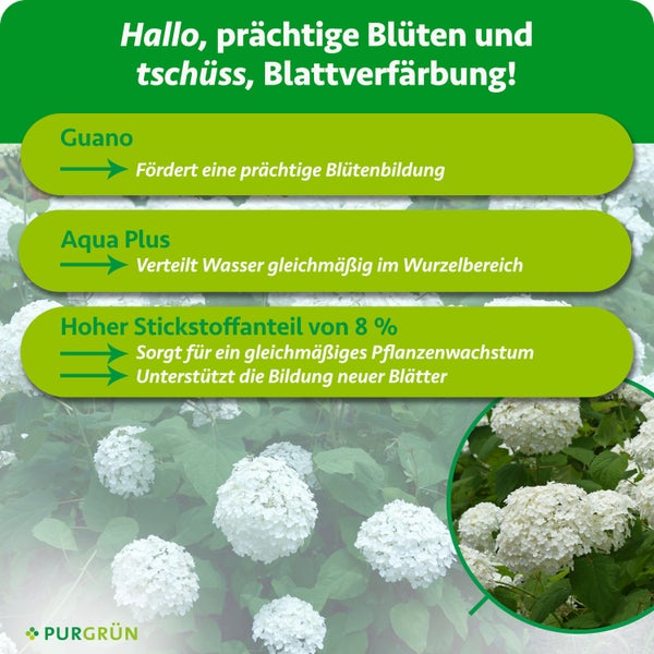 Purgrün Logo. Infografik zu Guano für Blüten, Aqua Plus zur Wasserverteilung und 8 Prozent Stickstoff für gleichmäßiges Pflanzenwachstum.