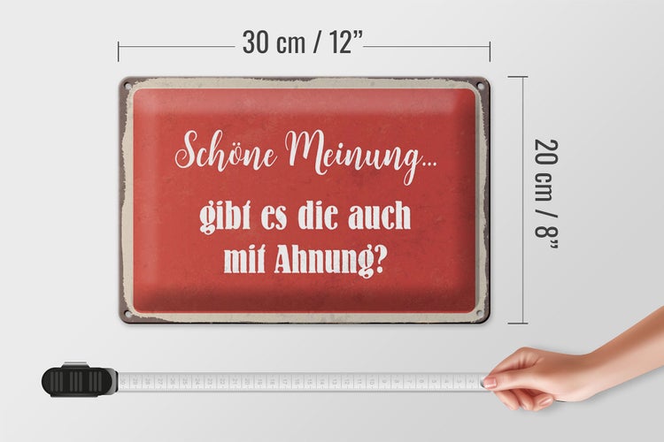 Blechschild Spruch 30x20cm schöne Meinung gibt mit Ahnung