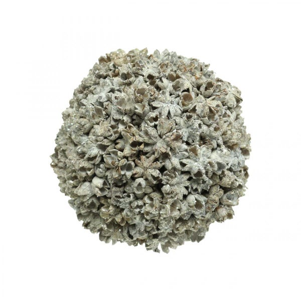 Dekokugel aus Pflanzenmaterial