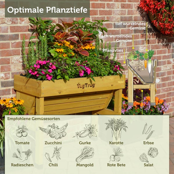 VegTrug Holz-Hochbeet mit Pflanzen, Infografik zur Pflanztiefe für Gemüse sowie Liste empfohlener Sorten. VegTrug Logo.