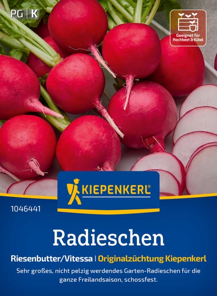 Saatgut Kiepenkerl Radieschen Riesenbutter Vitessa für Hochbeet und Kübel geeignet