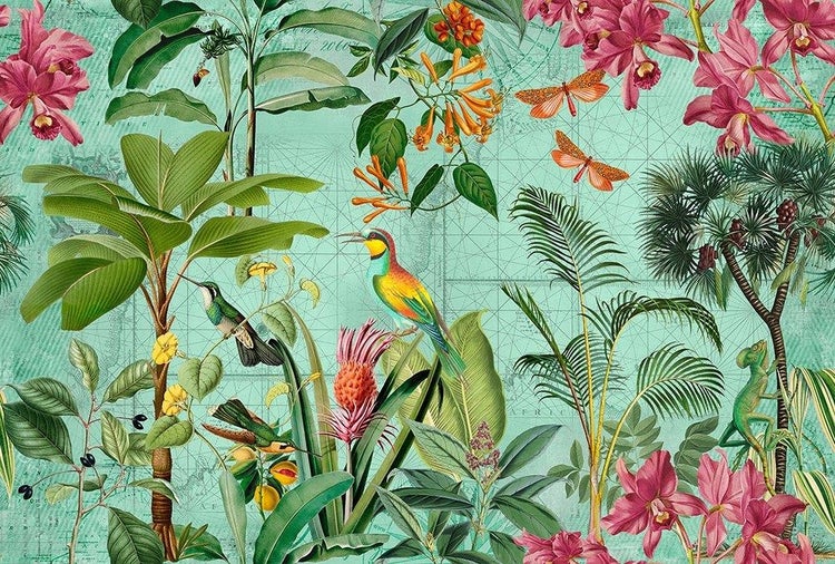 Tapete mit tropischem Dschungelmotiv, exotischen Vögeln, Orchideen, Palmen und Chamäleon auf einem Hintergrund mit Weltkartenmuster.