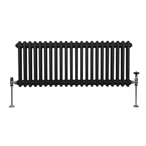 Traditioneller 2-Spalten-Heizkörper - 300 x 1012 mm - Schwarz
