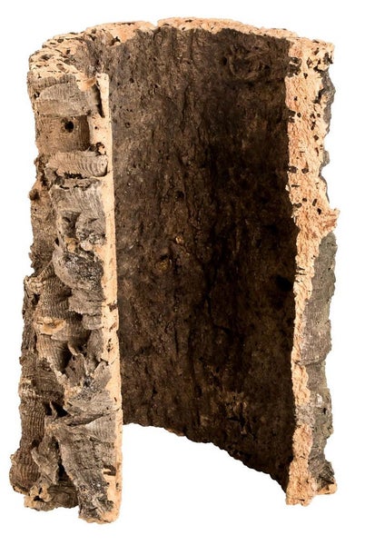 Naturkork-Röhre für Terrarien aus natürlicher Korkrinde als Dekoration und Versteckmöglichkeit.