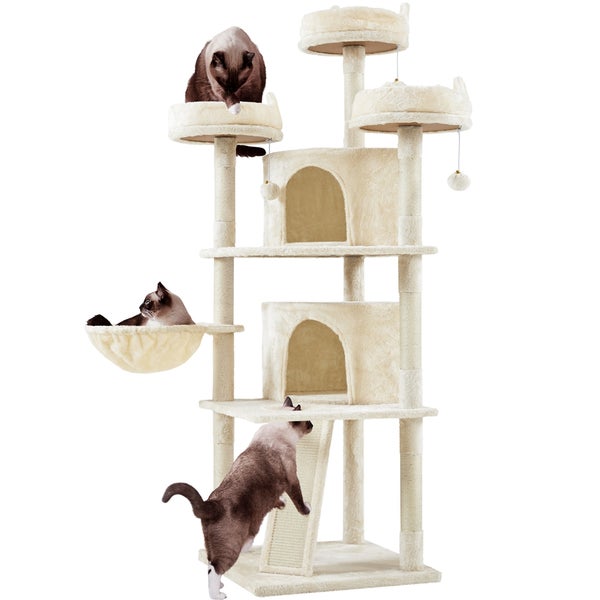 Katzenkratzbaum mit mehreren Ebenen, Höhlen, Liegeflächen und Katzen