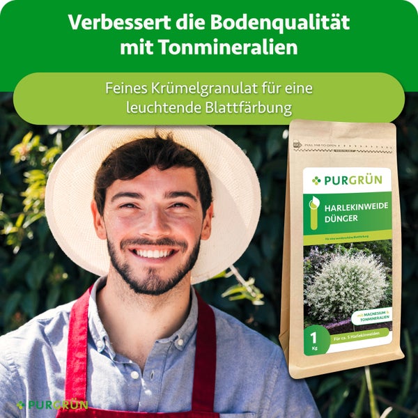 Purgrün Harlekinweide Dünger in einer Verpackung mit einer Tonmineralien Formel und Magnesium für leuchtende Blätter.