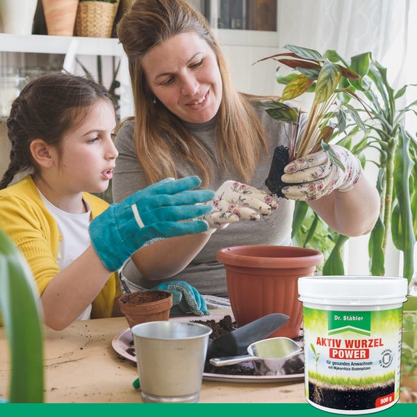 Aktiv Wurzel Power – Mykorrhiza-Bodenpilze zur Wurzelstärkung – Für Gemüse, Obst, Zierpflanzen & Kräuter – Stärkt Pflanzen bei Trockenheit & Nährstoffmangel – Für Beet, Topf & Kübel