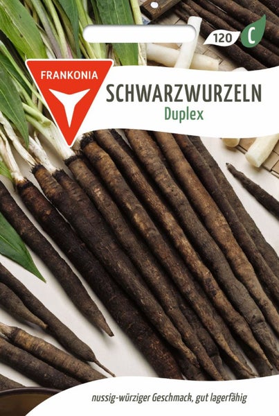 Saatgut für Schwarzwurzeln, Sorte Duplex
