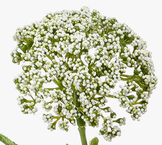 Künstliche Blütendolde mit kleinen weißen Knospen an grünen Stielen.