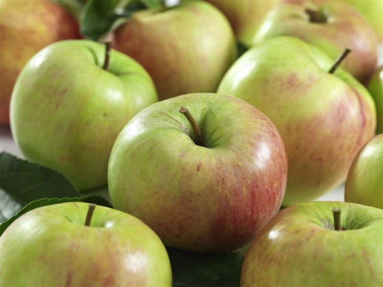 Frische Äpfel mit rötlichen und grünen Anteilen und Stielen.