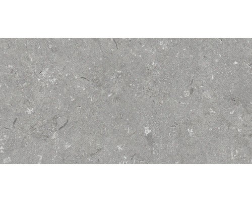 Wand- und Bodenfliese Shellstone grigio 30x60cm