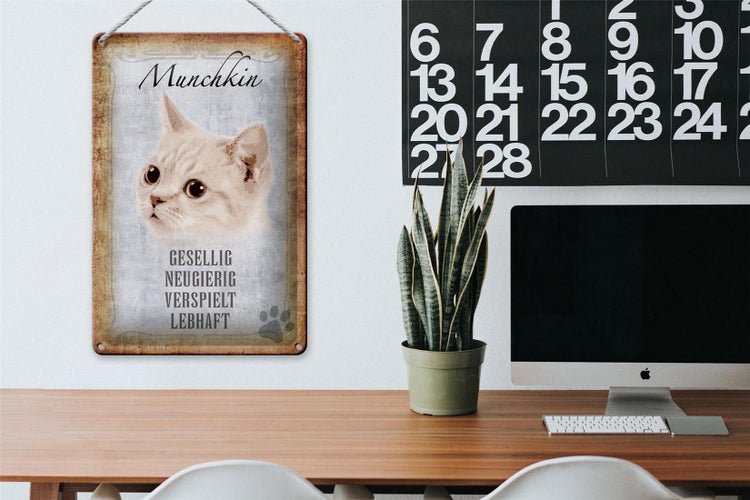 Blechschild Spruch 20x30cm Munchkin Katze lebhaft Schild