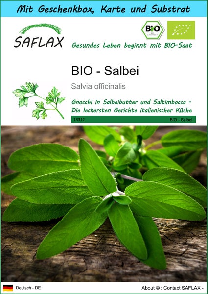 SAFLAX Geschenk Set - BIO - Salbei - Salvia officinalis - 60 Samen - Mit Geschenkbox, Versandaufkleber, Geschenkkarte und Anzuchtsubstrat