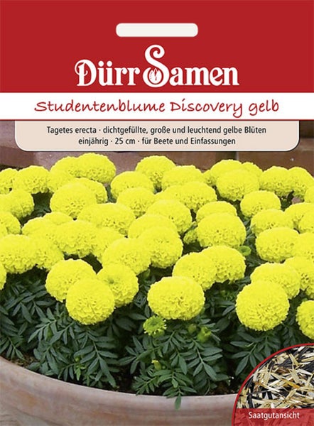 Samentüte für Studentenblume Discovery gelb, Dürr Samen Logo, Abbildung blühender Blumen in einem Topf und Ansicht des Saatguts.