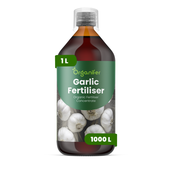 Organifer Gummibaum Dünger Konzentrat, 10 Liter Kanister, für 10000 Quadratmeter, organischer Pflanzendünger.