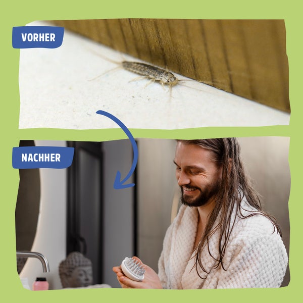 Silberfische Spray | Alternative zu Silberfischchen Köder oder Silberfischfalle