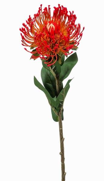 Künstliche Nadelkissen-Protea mit langem Stiel und grünen Blättern.