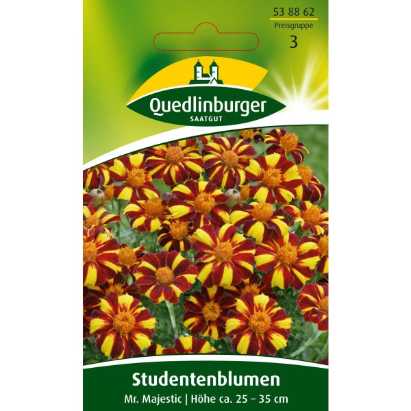 Studentenblumen Mr. Majestic Samen von Quedlinburger SAATGUT