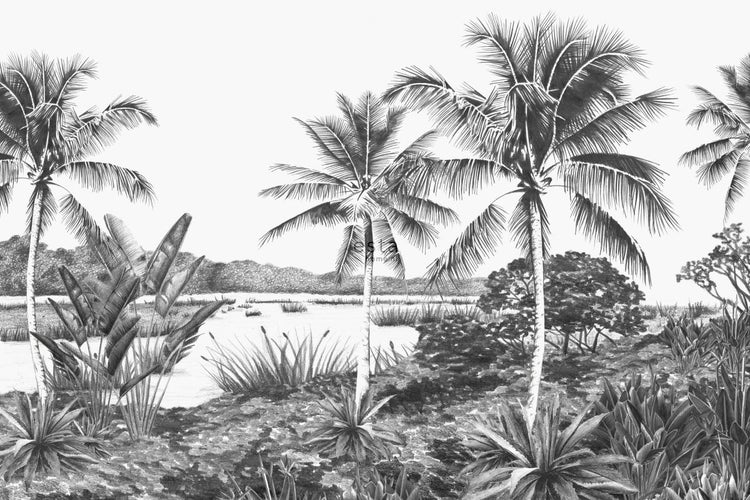 ESTAhome Fototapete tropische Landschaft mit Palmen Schwarz-Weiß - 4,185 x 2,79 m - 158901