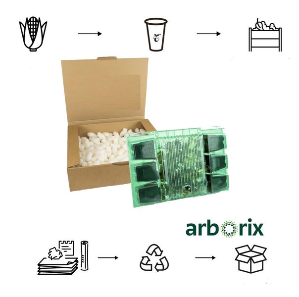 Arborix Set mit biologisch abbaubaren Pflanztöpfen, Versandkarton und kompostierbaren Füllmaterialien mit schematischer Darstellung des Kreislaufs.