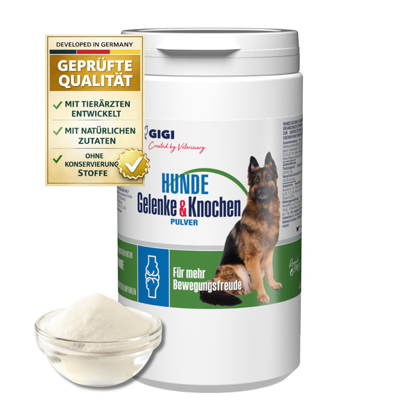 GIGI Hunde Gelenke und Knochen Pulver in der Dose, natürliche Zutaten, ohne Konservierungsstoffe, entwickelt in Deutschland mit Tierärzten.